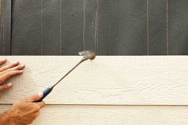 Best Fascia and Soffit Installation  in Helena, MT